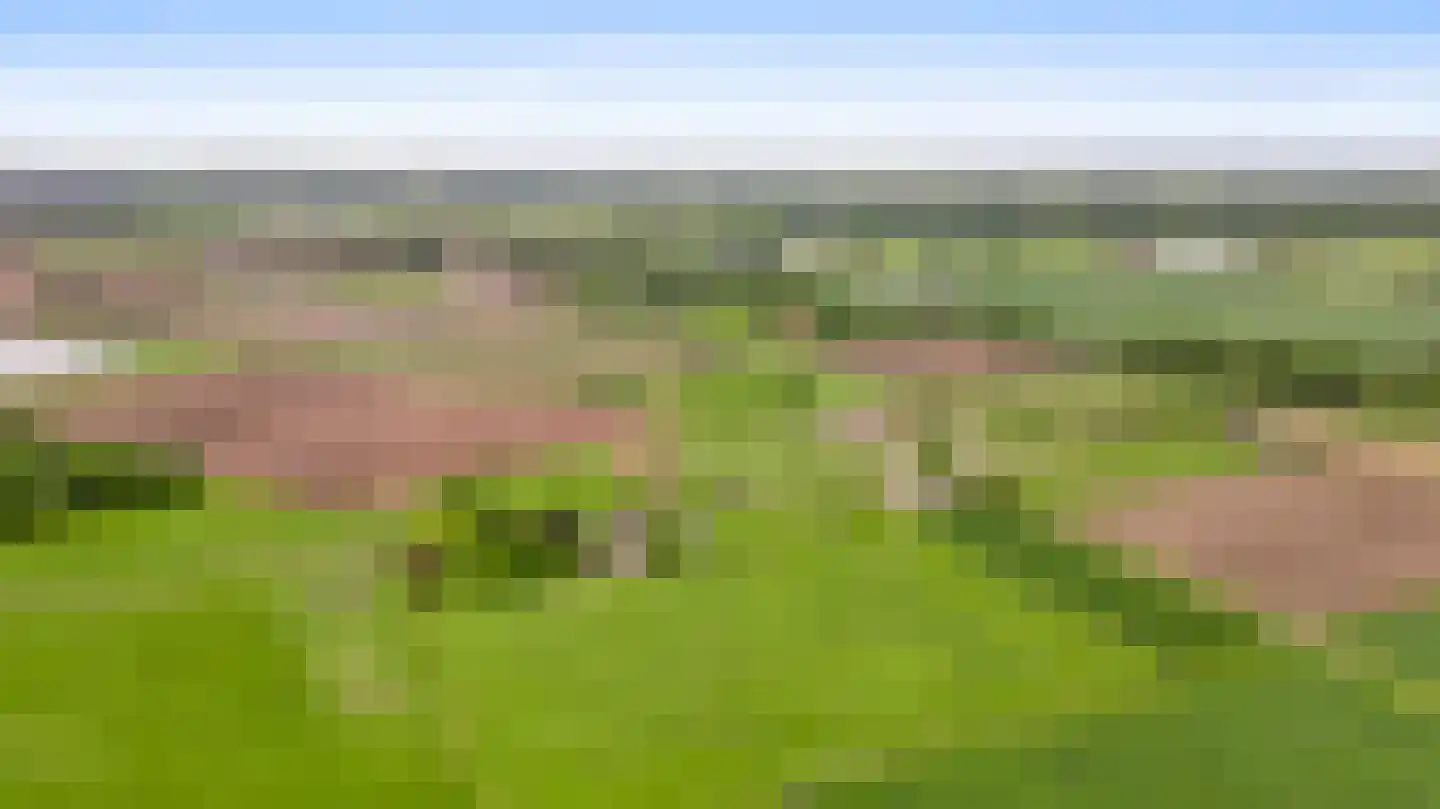 Donkerpeelkensweg 25 Meijel thumbnail 59