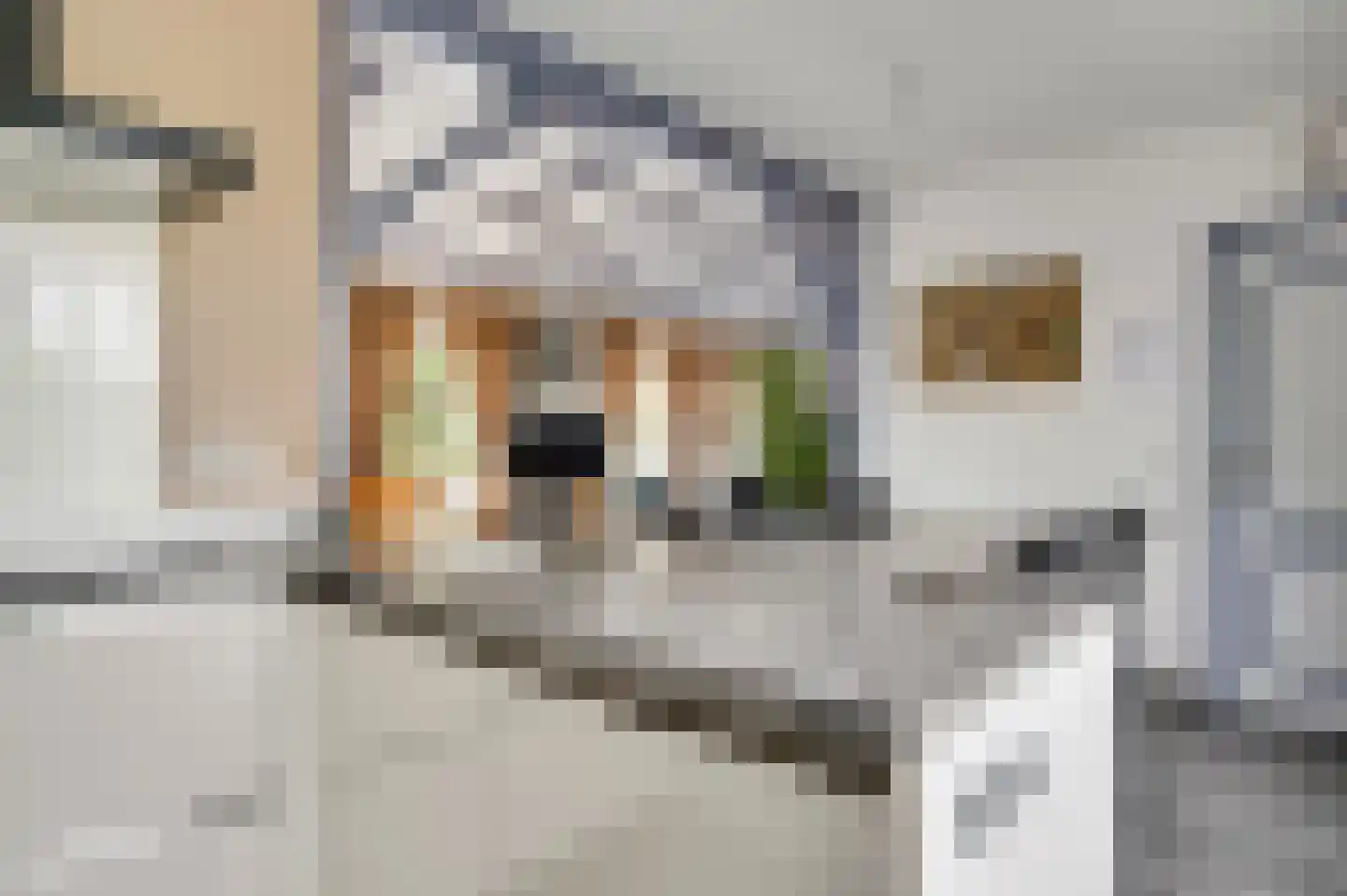 Donkerpeelkensweg 25 Meijel thumbnail 6