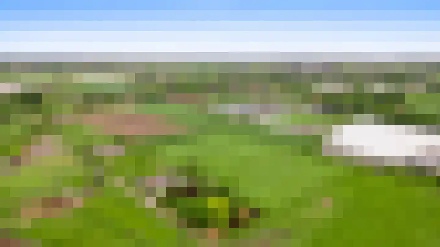 Donkerpeelkensweg 25 Meijel thumbnail 60