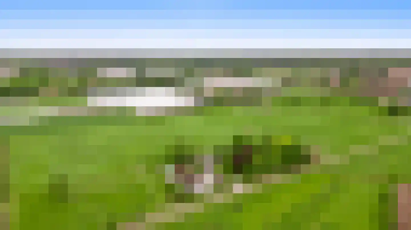 Donkerpeelkensweg 25 Meijel thumbnail 62