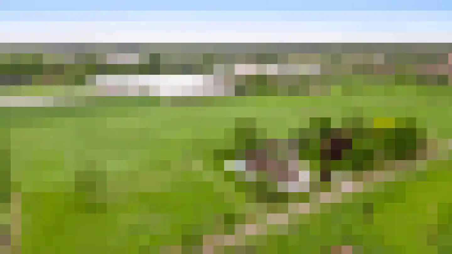 Donkerpeelkensweg 25 Meijel thumbnail 63