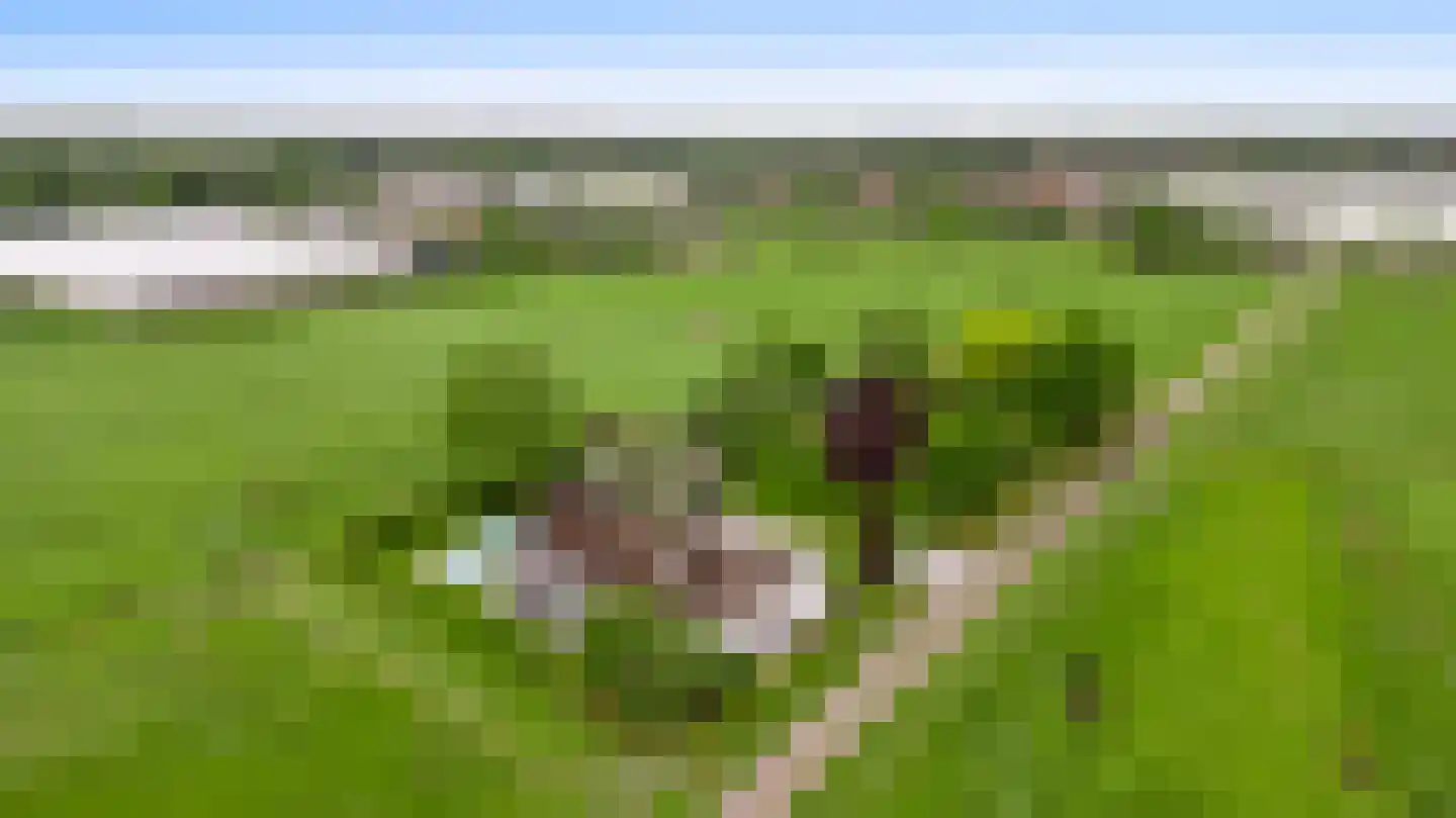 Donkerpeelkensweg 25 Meijel thumbnail 64