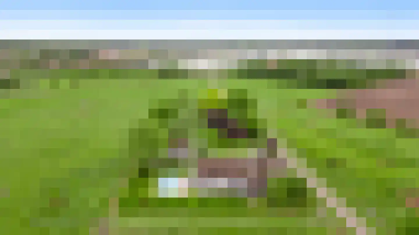 Donkerpeelkensweg 25 Meijel thumbnail 65