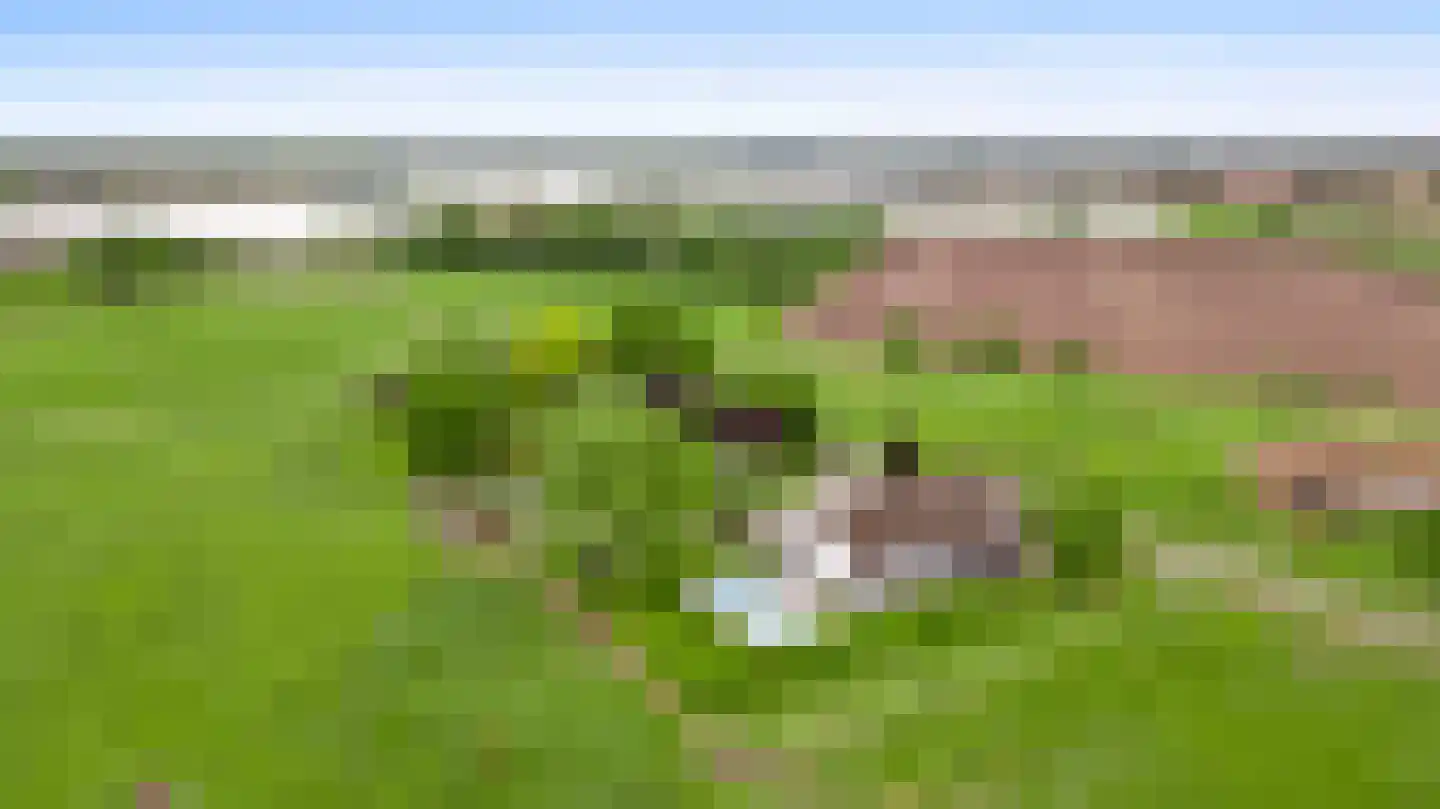 Donkerpeelkensweg 25 Meijel thumbnail 66