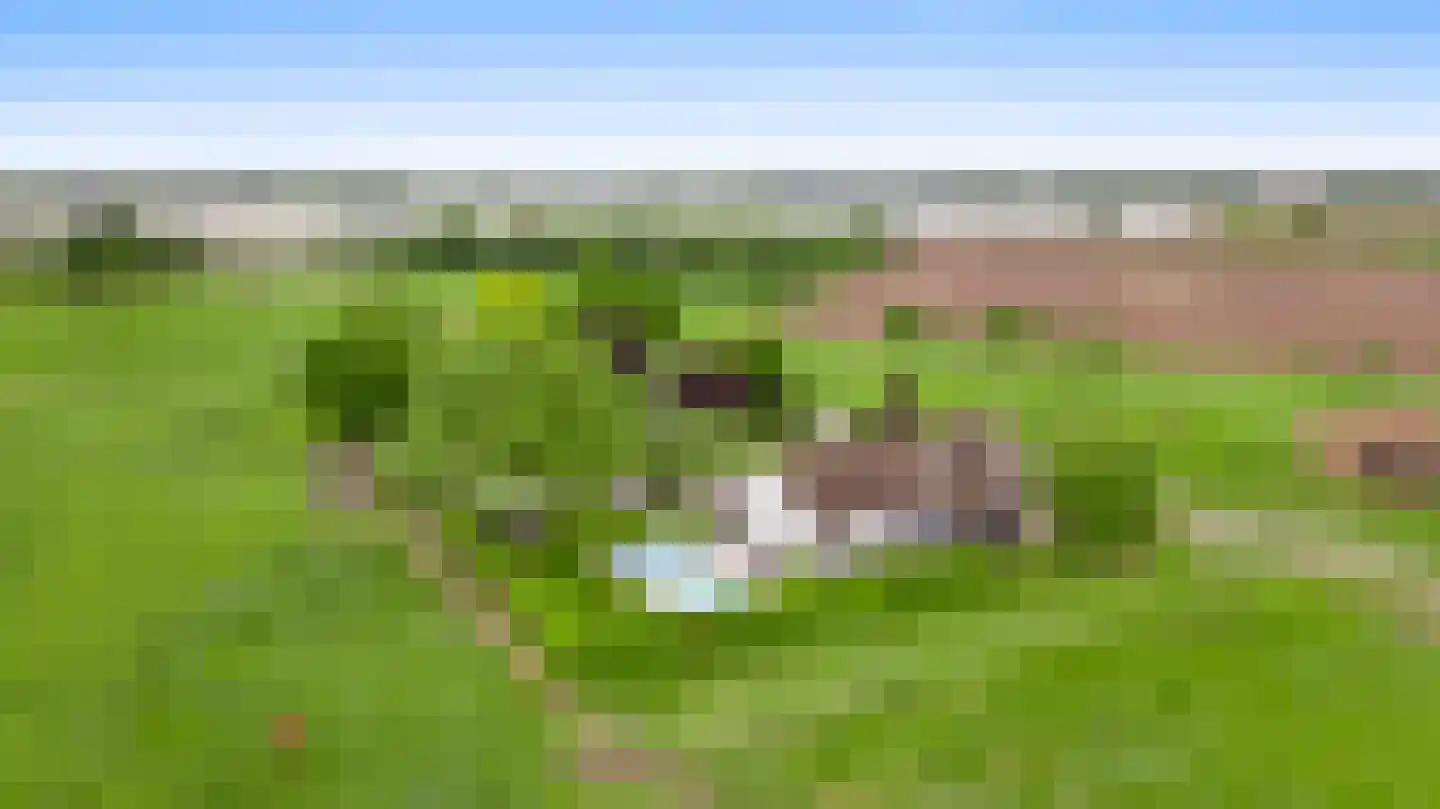 Donkerpeelkensweg 25 Meijel thumbnail 67