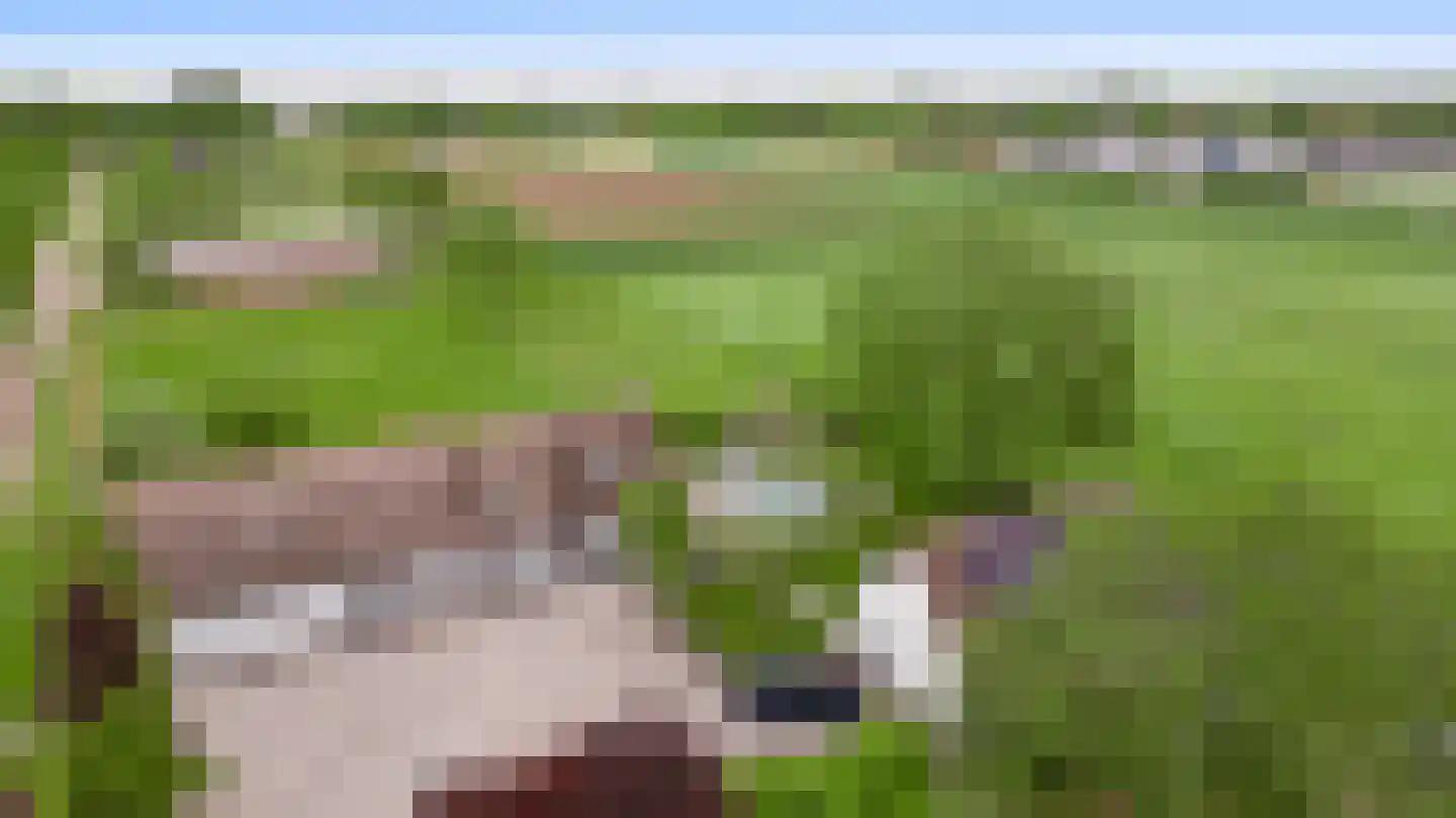 Donkerpeelkensweg 25 Meijel thumbnail 8