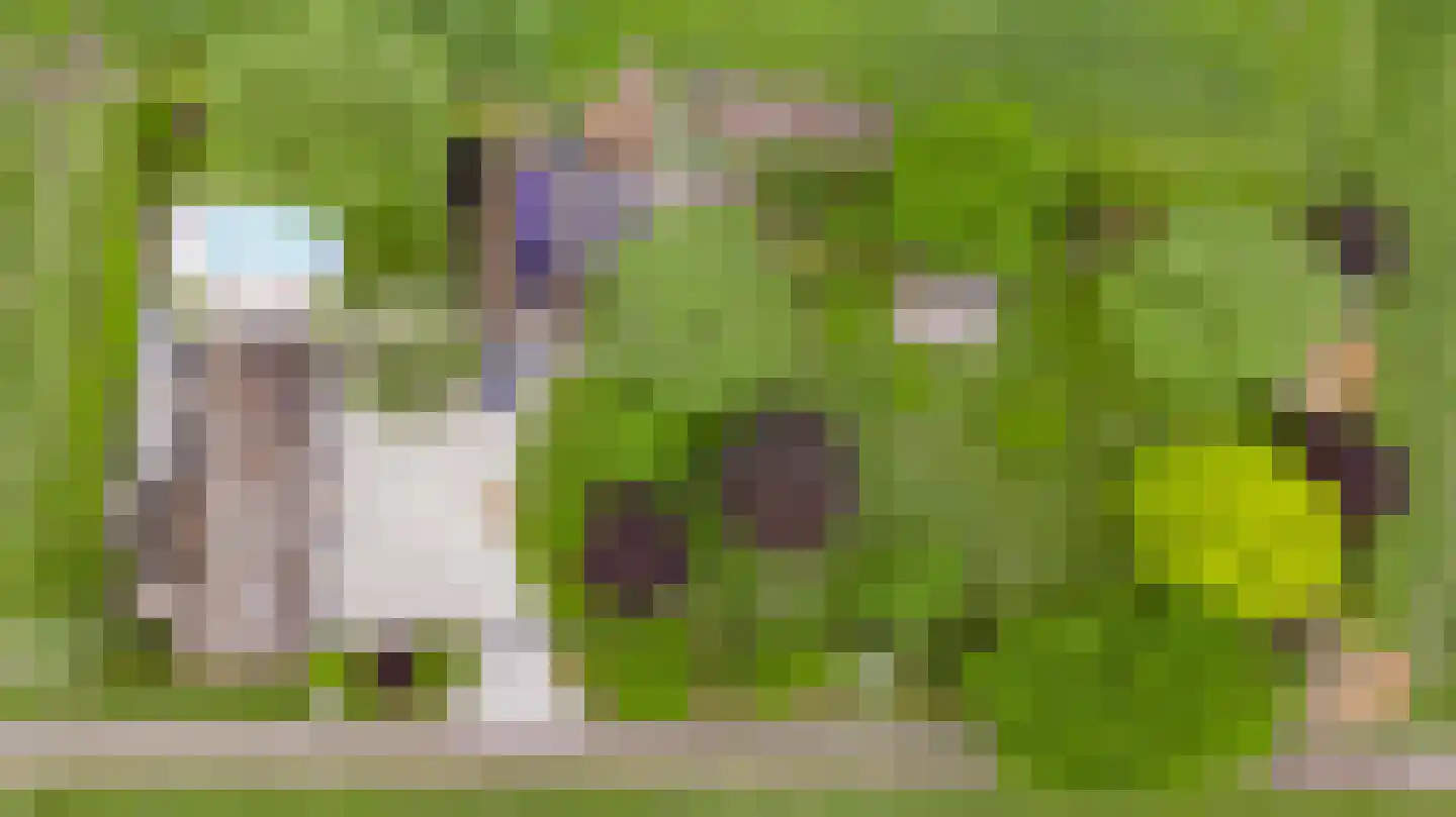 Donkerpeelkensweg 25 Meijel thumbnail 9