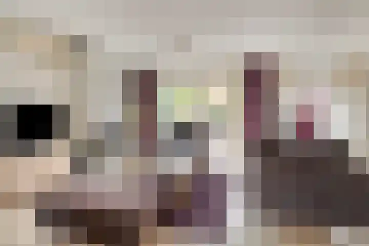 Donkershoekstraat 8 Hoedekenskerke thumbnail 10