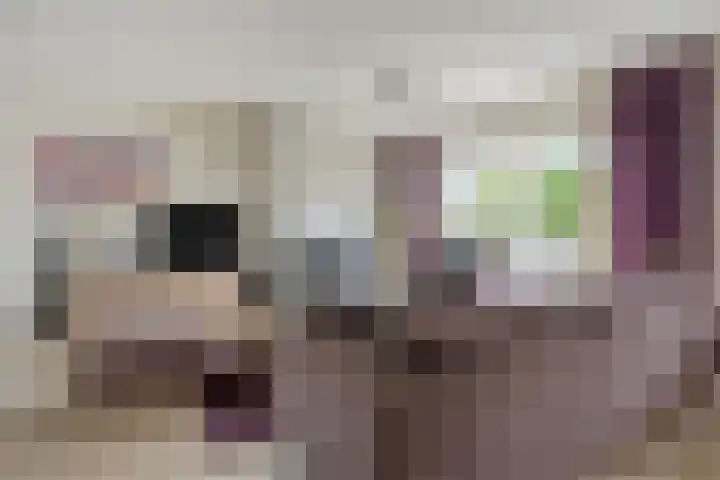 Donkershoekstraat 8 Hoedekenskerke thumbnail 11