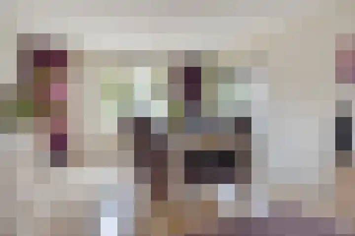 Donkershoekstraat 8 Hoedekenskerke thumbnail 14