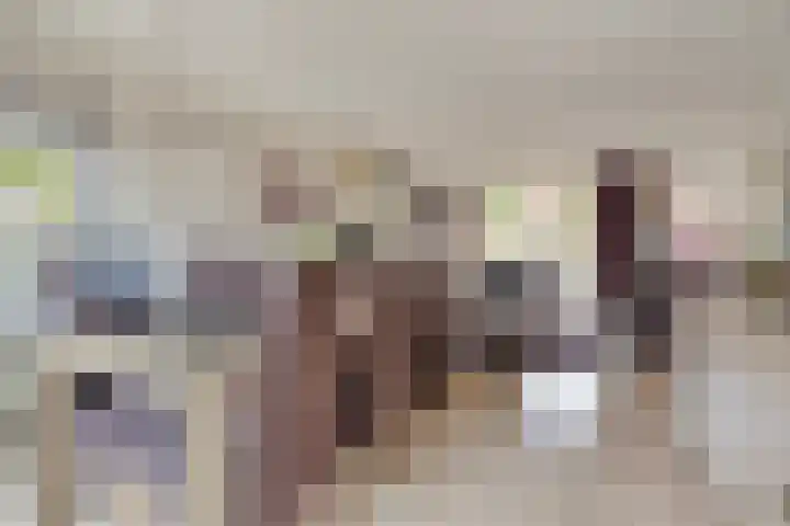 Donkershoekstraat 8 Hoedekenskerke thumbnail 15