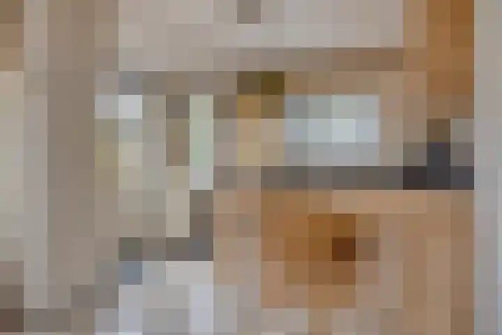 Donkershoekstraat 8 Hoedekenskerke thumbnail 16