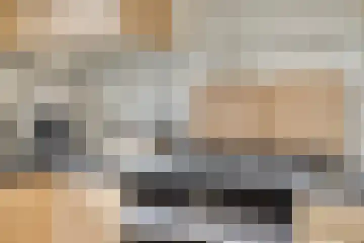 Donkershoekstraat 8 Hoedekenskerke thumbnail 18
