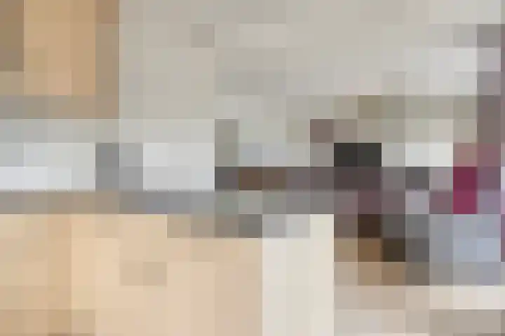 Donkershoekstraat 8 Hoedekenskerke thumbnail 20