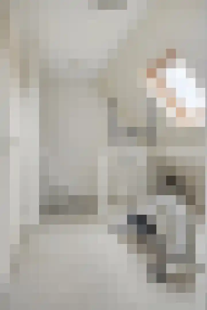 Donkershoekstraat 8 Hoedekenskerke thumbnail 21