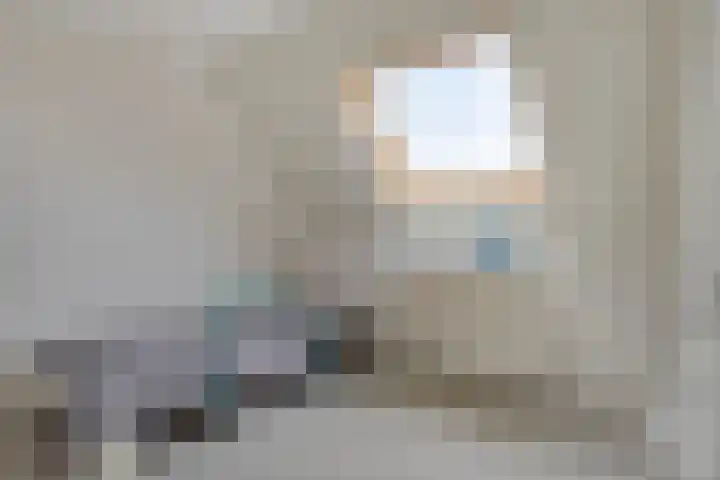 Donkershoekstraat 8 Hoedekenskerke thumbnail 30