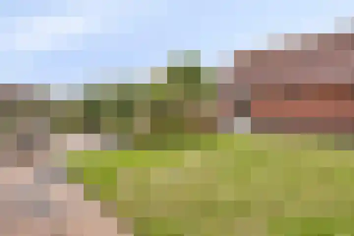 Donkershoekstraat 8 Hoedekenskerke thumbnail 31