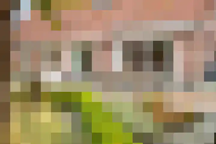 Donkershoekstraat 8 Hoedekenskerke thumbnail 32