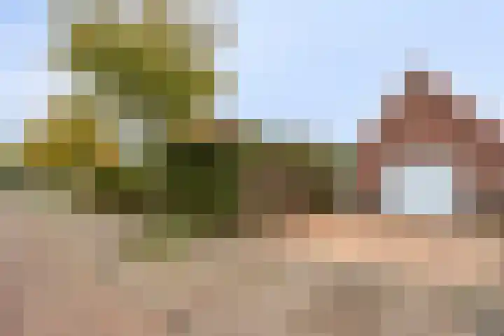 Donkershoekstraat 8 Hoedekenskerke thumbnail 34