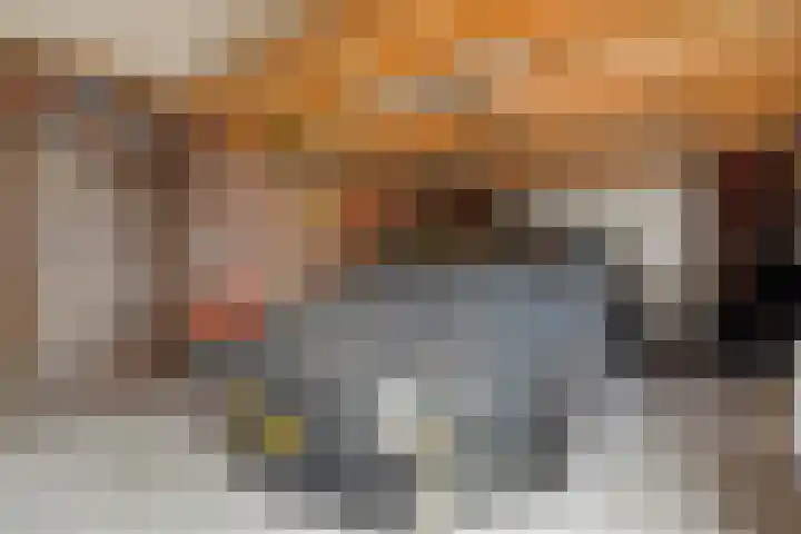 Donkershoekstraat 8 Hoedekenskerke thumbnail 35