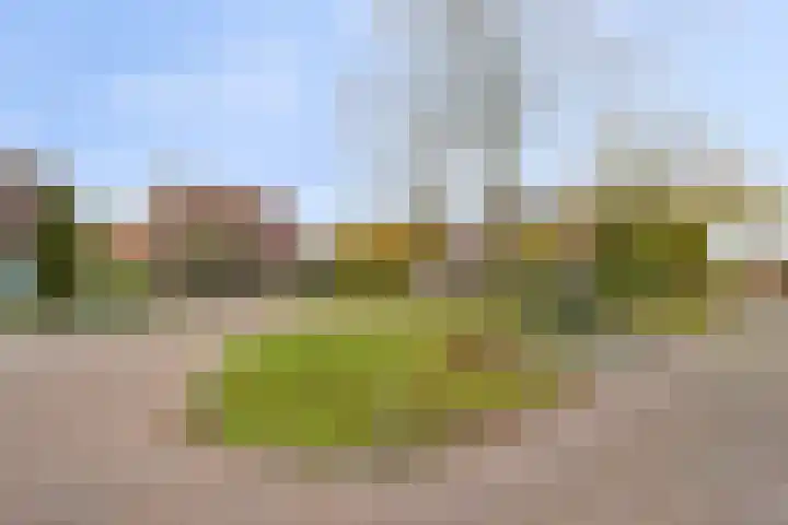 Donkershoekstraat 8 Hoedekenskerke thumbnail 36