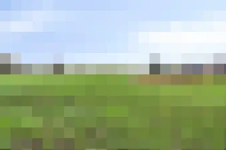 Donkershoekstraat 8 Hoedekenskerke thumbnail 37