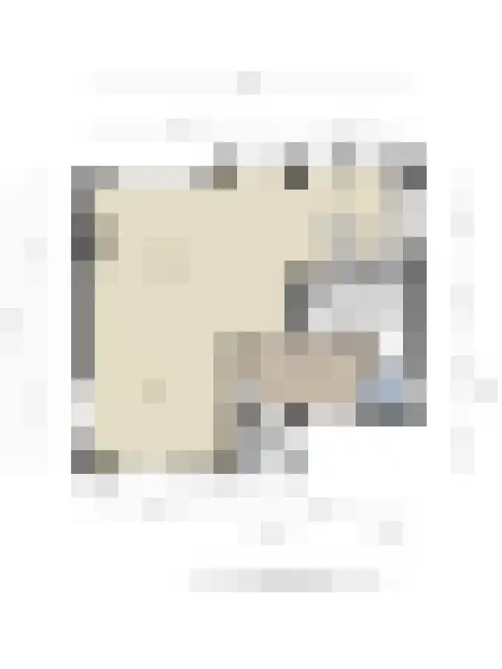 Donkershoekstraat 8 Hoedekenskerke thumbnail 38