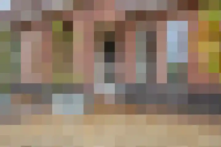 Donkershoekstraat 8 Hoedekenskerke thumbnail 4