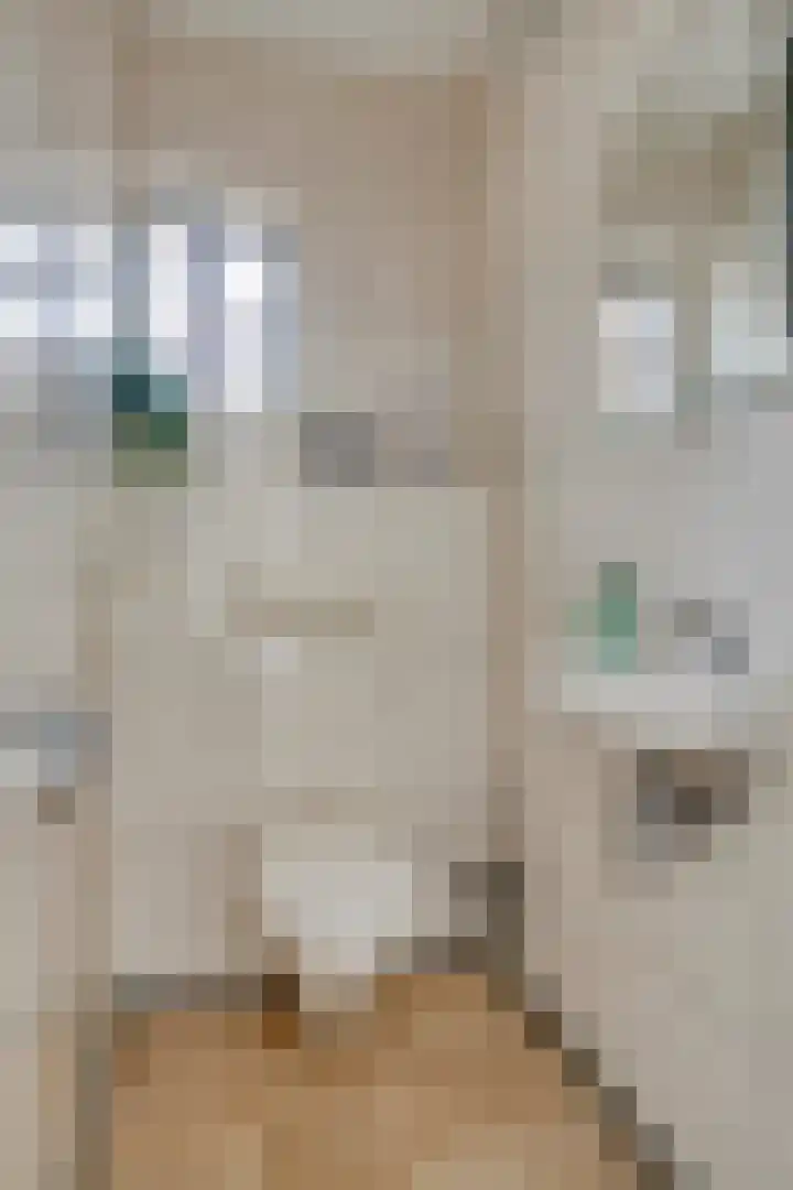 Donkershoekstraat 8 Hoedekenskerke thumbnail 7