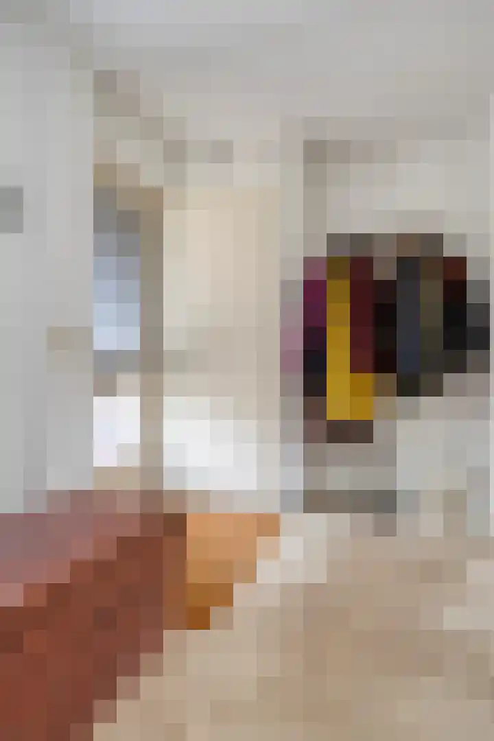 Donkershoekstraat 8 Hoedekenskerke thumbnail 8