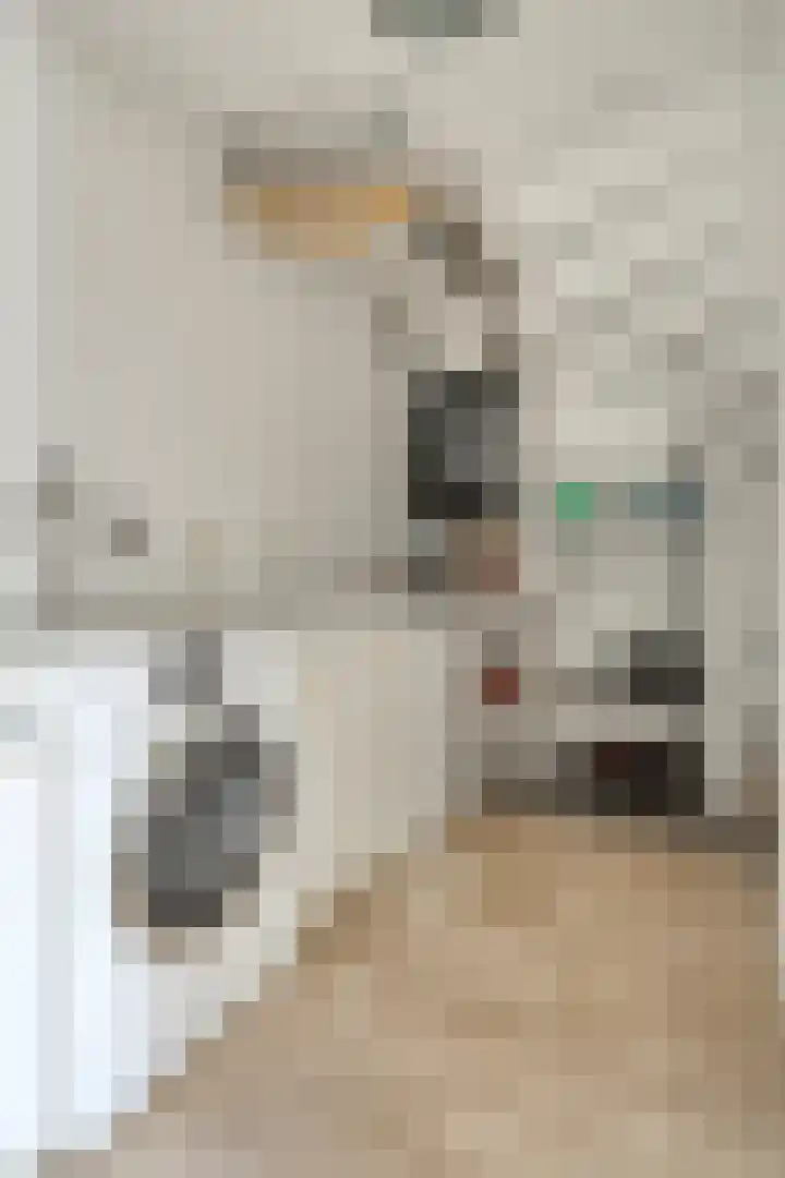 Donkershoekstraat 8 Hoedekenskerke thumbnail 9
