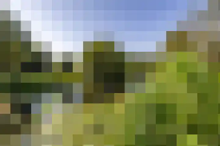 Donkerslaan-Zevenhuizen 29 Harkstede thumbnail 5