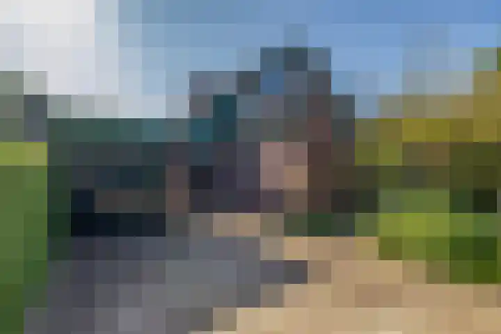 Donkerslaan-Zevenhuizen 29 Harkstede thumbnail 6