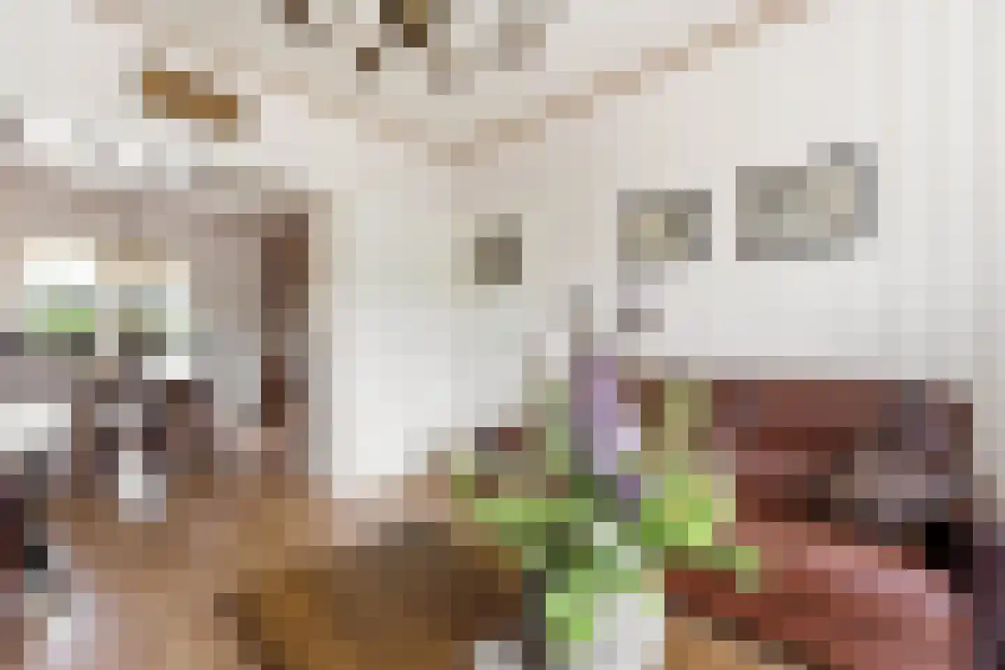Donkersloot 12 Alblasserdam thumbnail 13