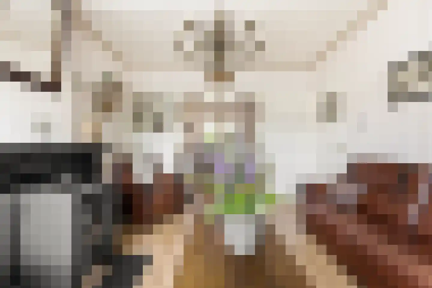 Donkersloot 12 Alblasserdam thumbnail 15
