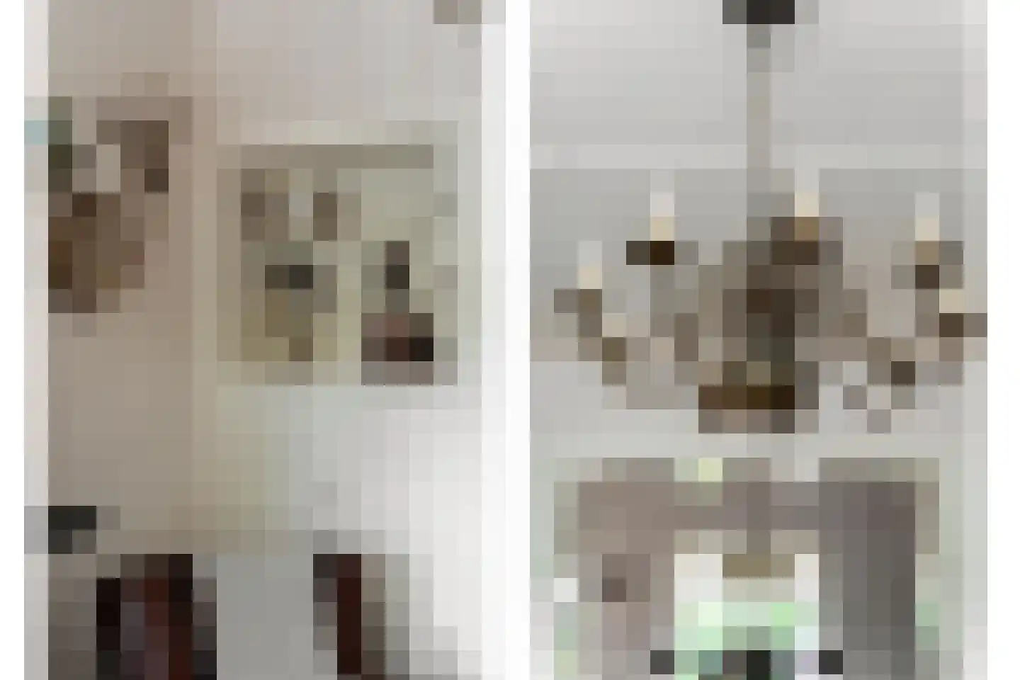 Donkersloot 12 Alblasserdam thumbnail 16