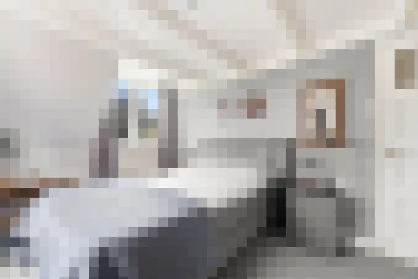 Donkersloot 12 Alblasserdam thumbnail 35