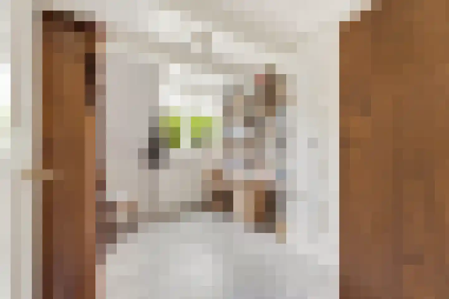 Donkersloot 12 Alblasserdam thumbnail 37