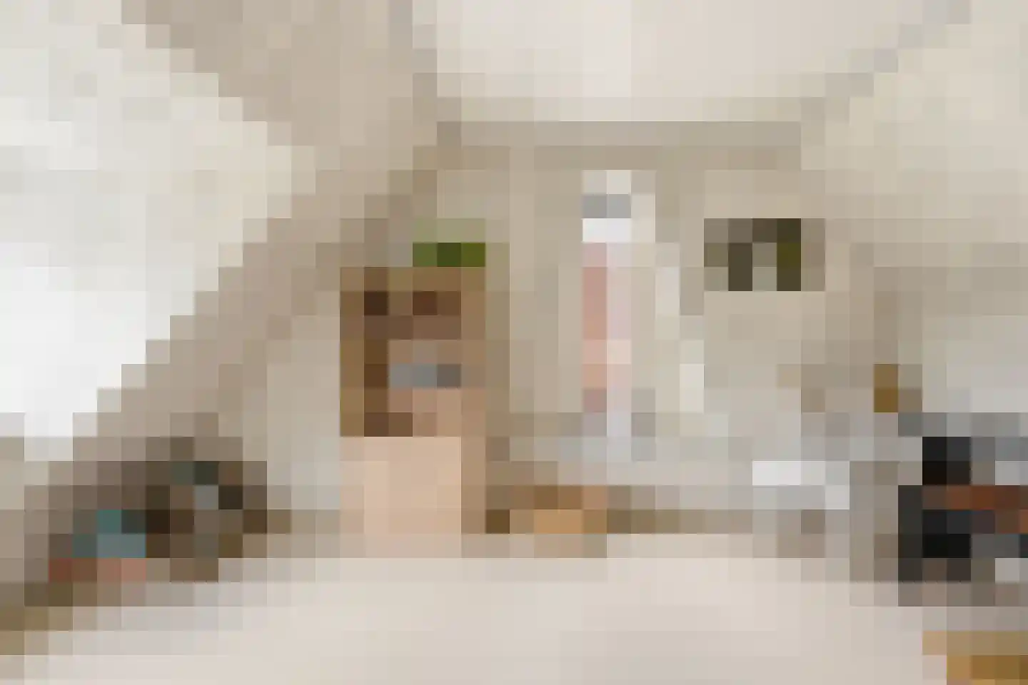 Donkersloot 12 Alblasserdam thumbnail 42