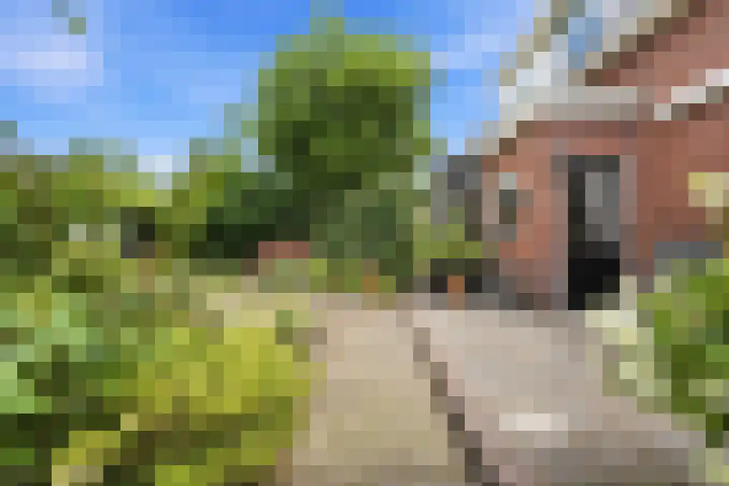 Donkersloot 12 Alblasserdam thumbnail 48