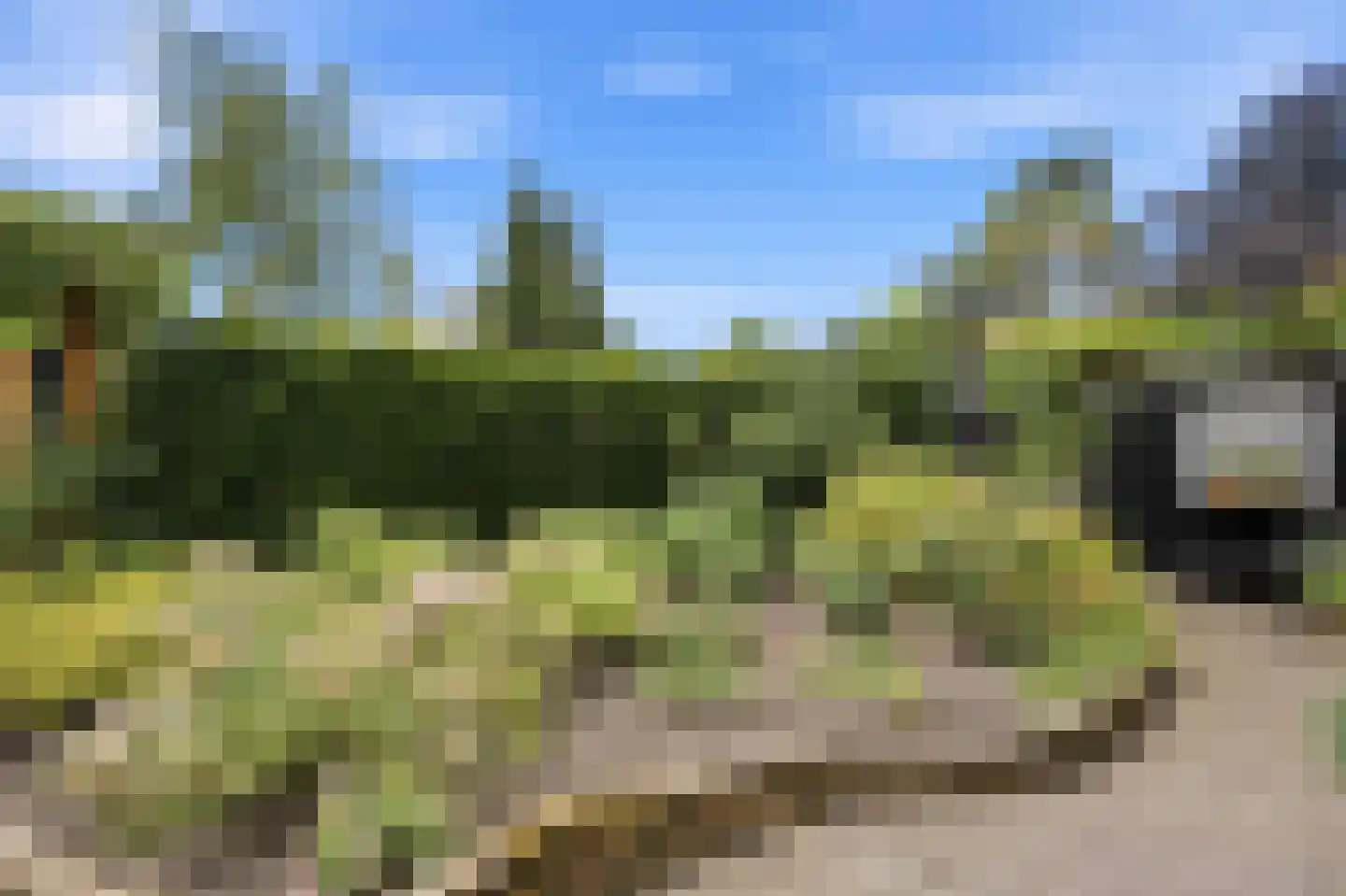Donkersloot 12 Alblasserdam thumbnail 49