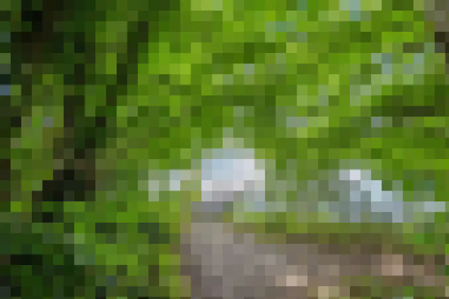 Donkersloot 12 Alblasserdam thumbnail 5
