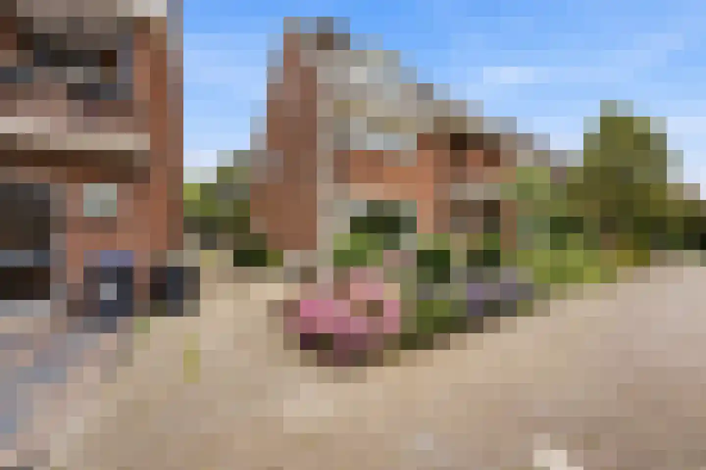 Donkersloot 12 Alblasserdam thumbnail 51