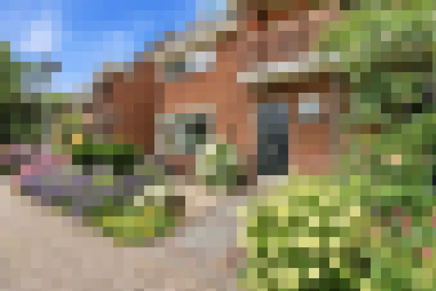 Donkersloot 12 Alblasserdam thumbnail 52