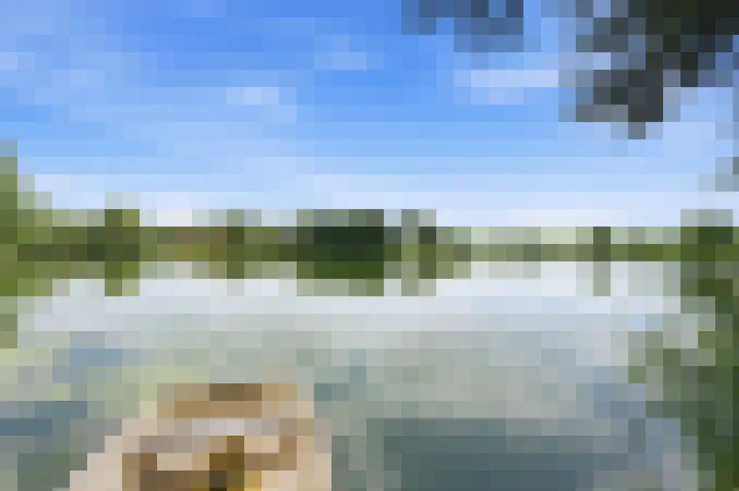 Donkersloot 12 Alblasserdam thumbnail 53