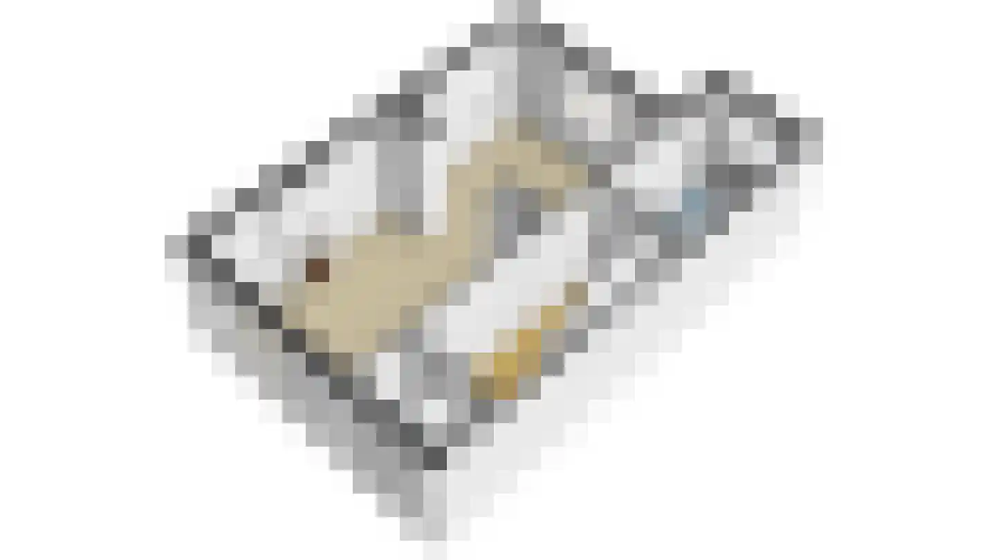 Donkersloot 12 Alblasserdam thumbnail 59