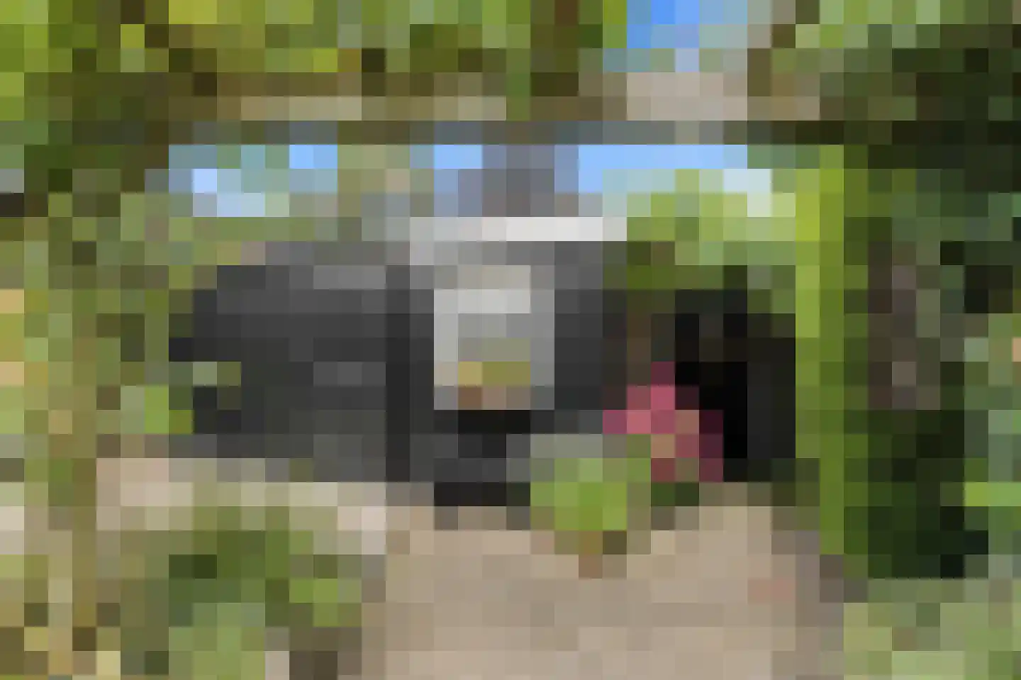 Donkersloot 12 Alblasserdam thumbnail 6