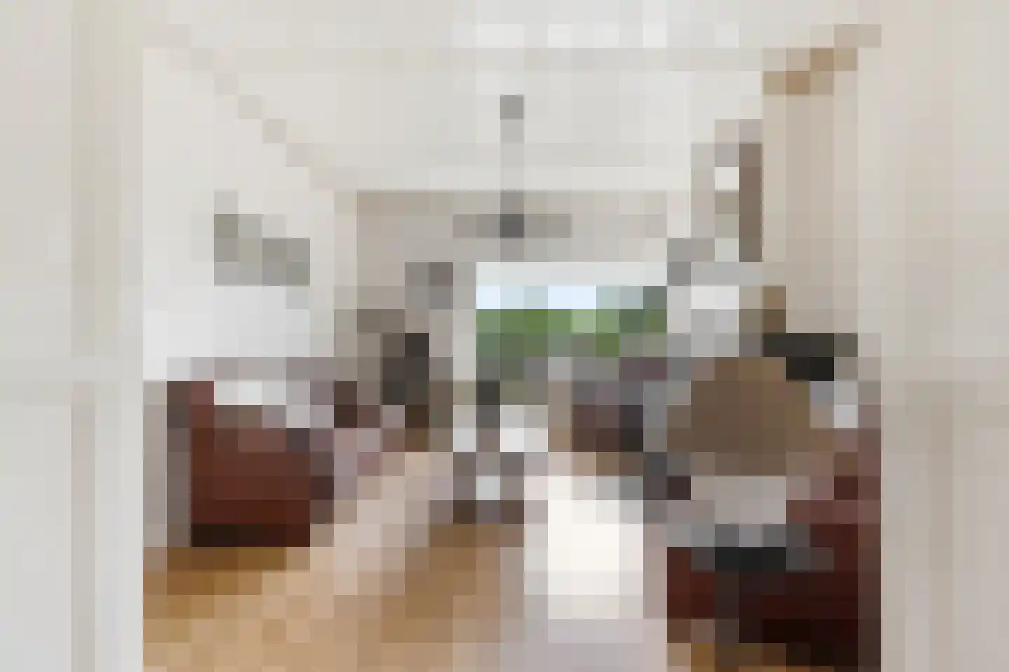 Donkersloot 12 Alblasserdam thumbnail 7