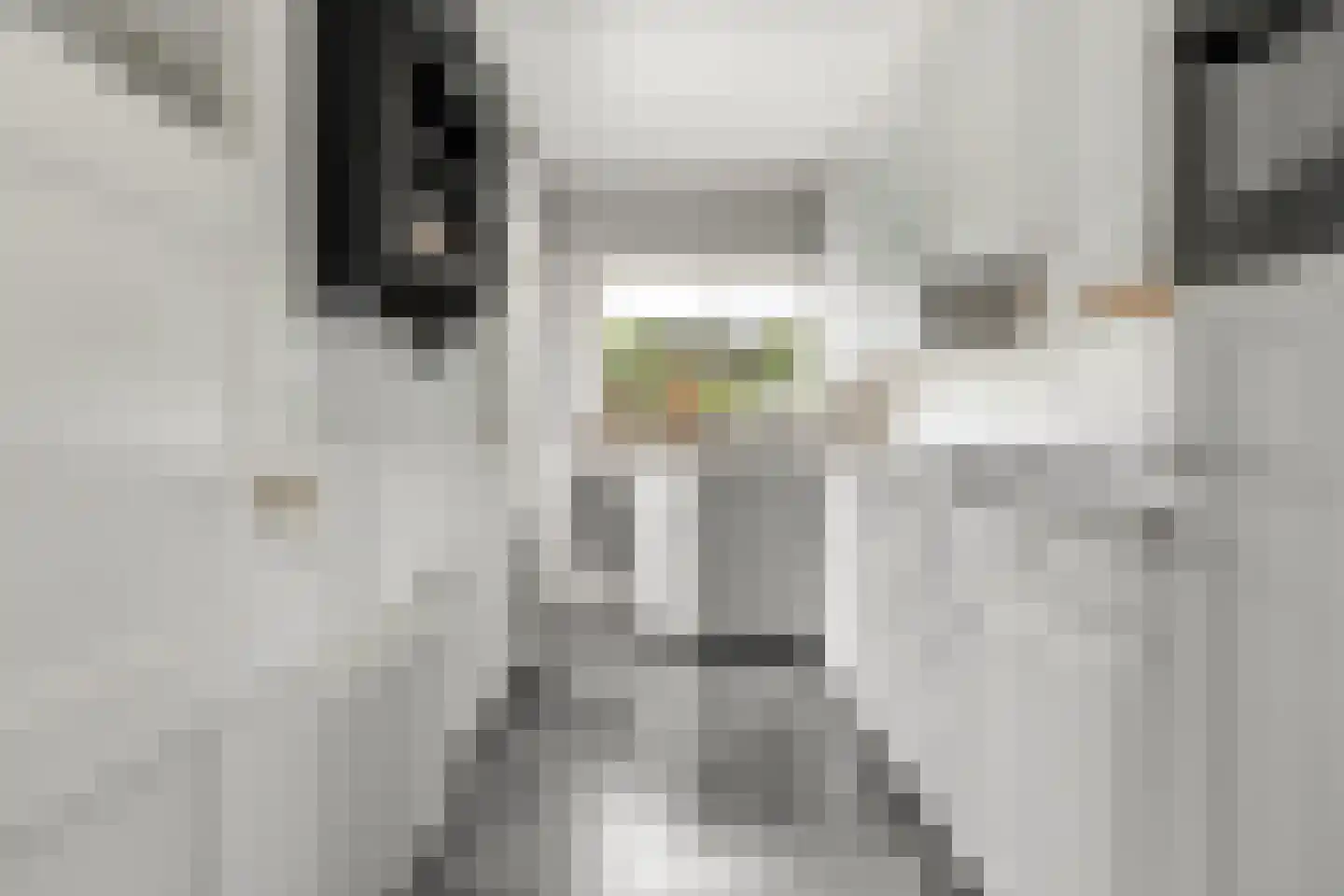Donkersloot 12 Alblasserdam thumbnail 8