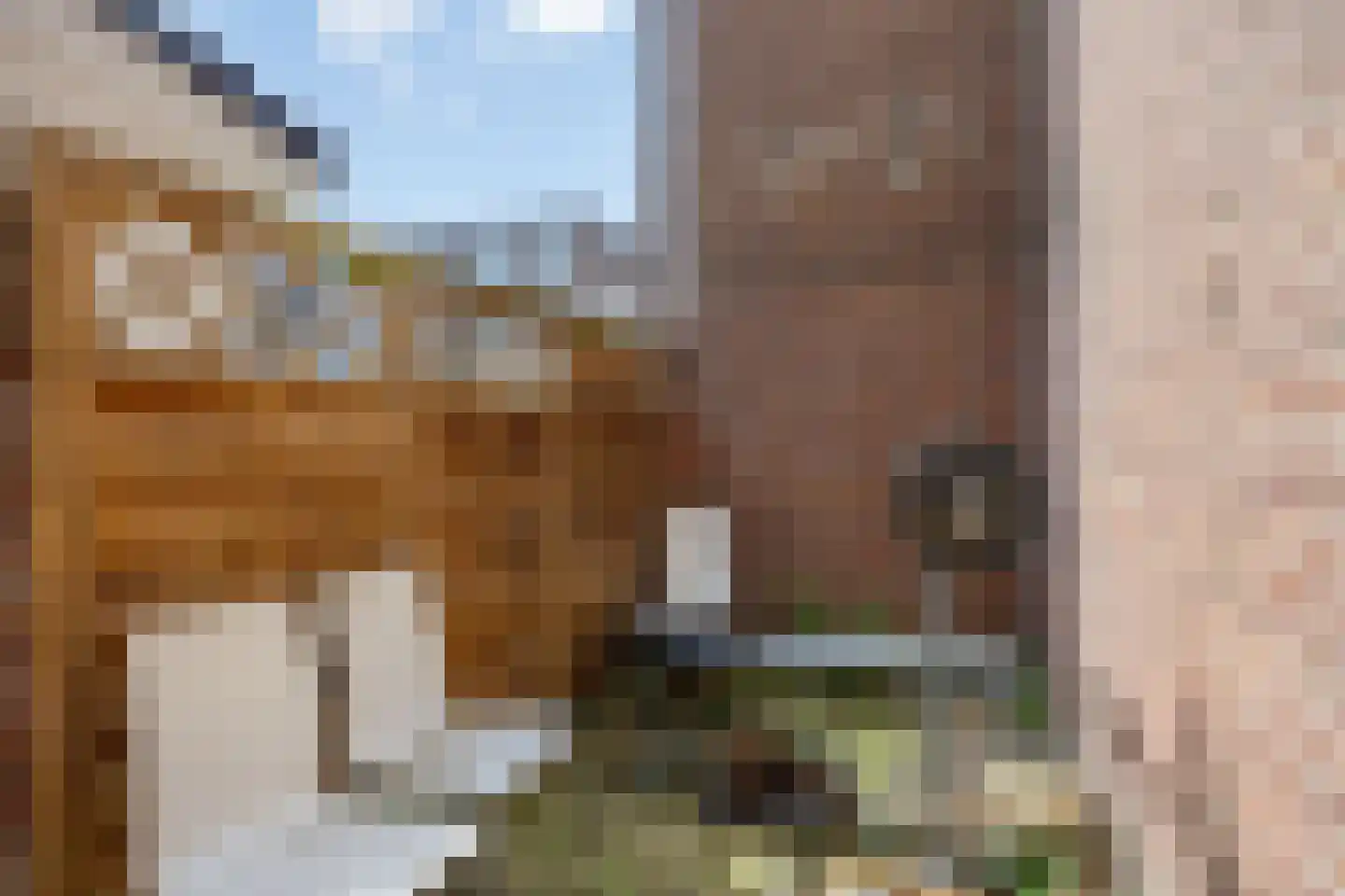 Donkerslootstraat 119 B Rotterdam thumbnail 5